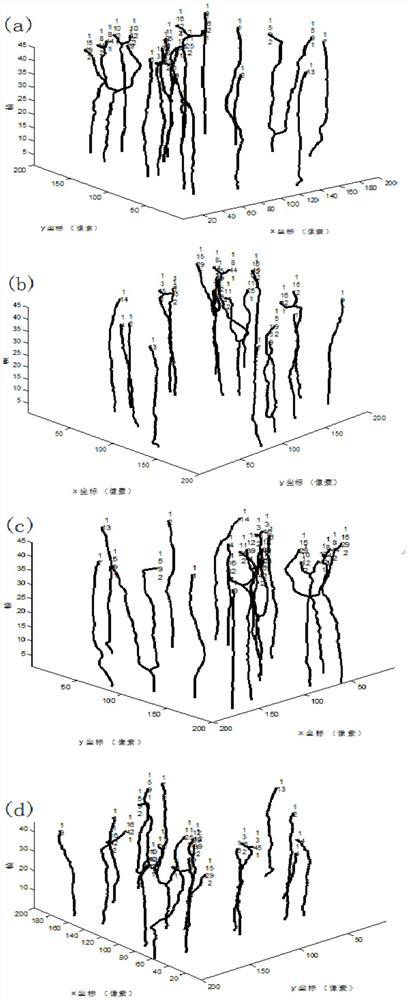 A joint multi-cell tracking method based on tag ant colony