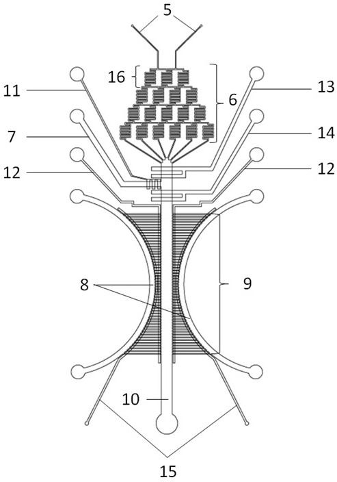 A microfluidic chip for cell migration and its preparation method