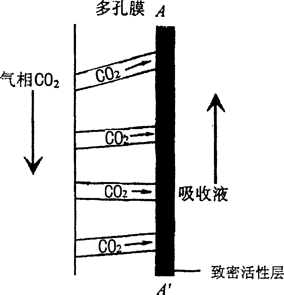 Membrane module of using compact polymer membrane in application for separating gas mixture