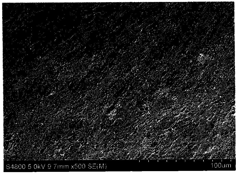 Preparation method for gelatin/PHBV (Poly(3-Polyhydroxybutyrate-3-Hydroxyvalerate)) blend film