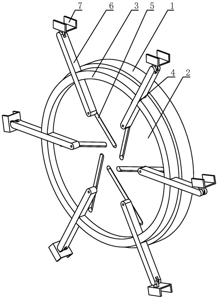 An anatomical fixation device for experimental animals