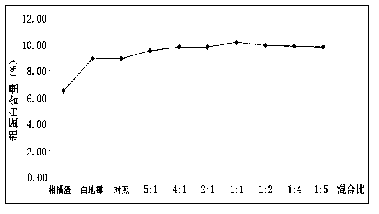 Dewatered solid combined inoculant for increasing protein level of citrus pulp feed and preparation method of dewatered solid combined inoculant
