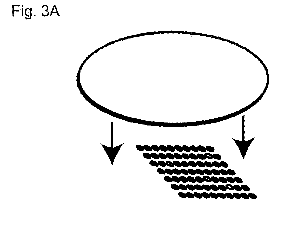 Solder bump correction method