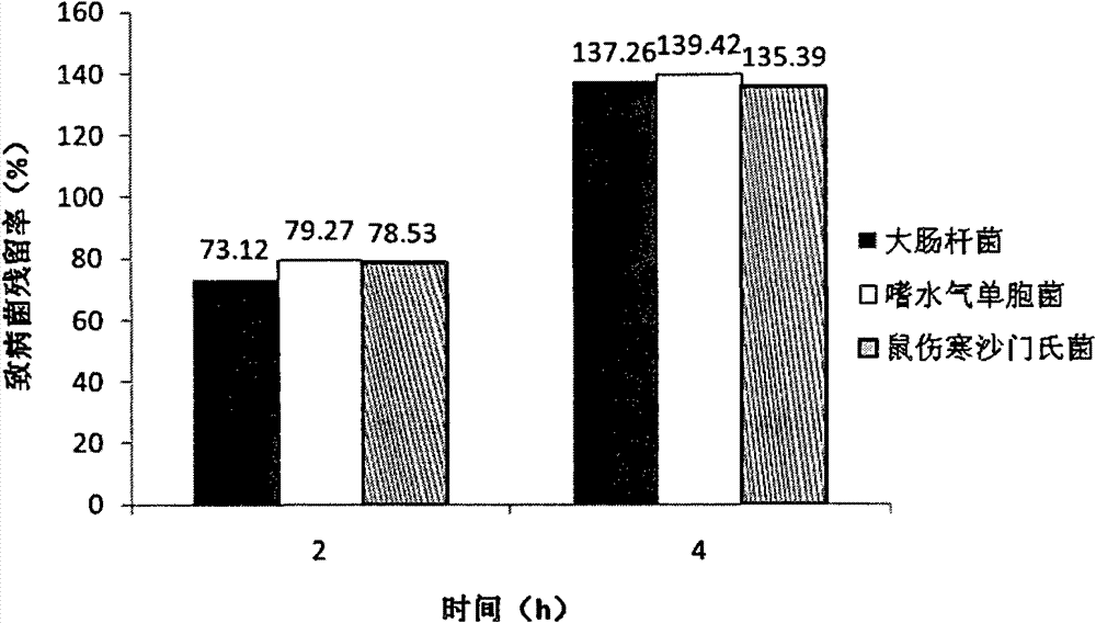 Application of bdellovibrio sp. telotroch to prevention and control of bacteria in sashimi making process