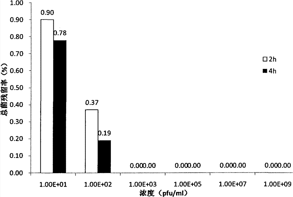 Application of bdellovibrio sp. telotroch to prevention and control of bacteria in sashimi making process