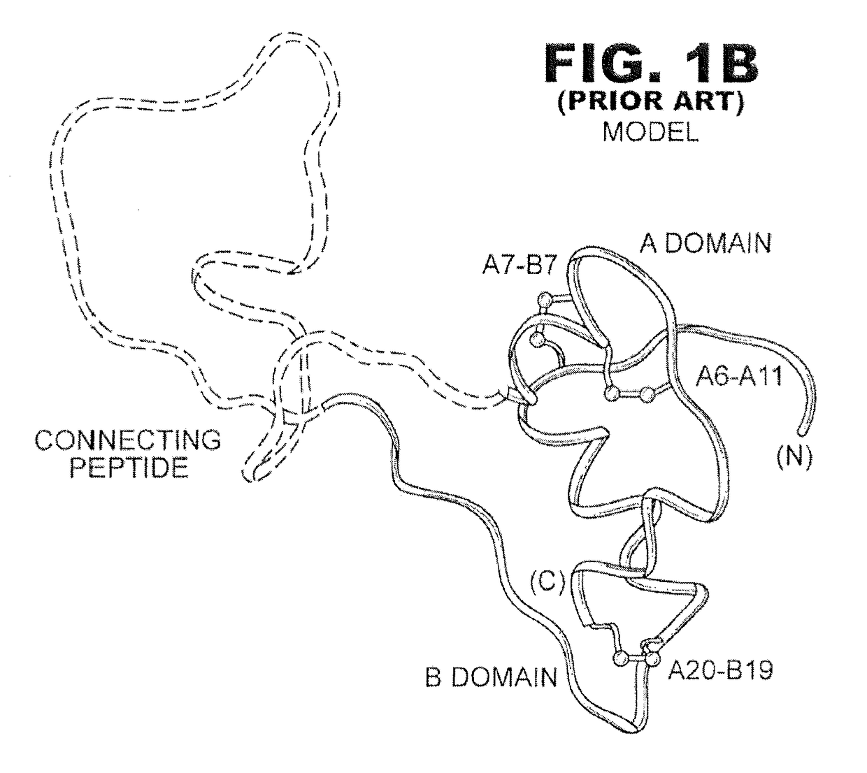 Insulin analogues with selective signaling properties and reduced mitogenicity