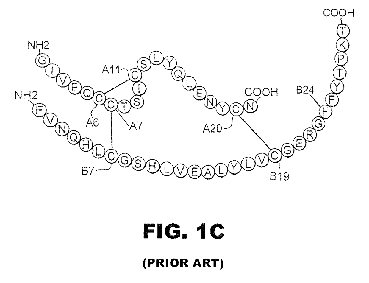 Insulin analogues with selective signaling properties and reduced mitogenicity