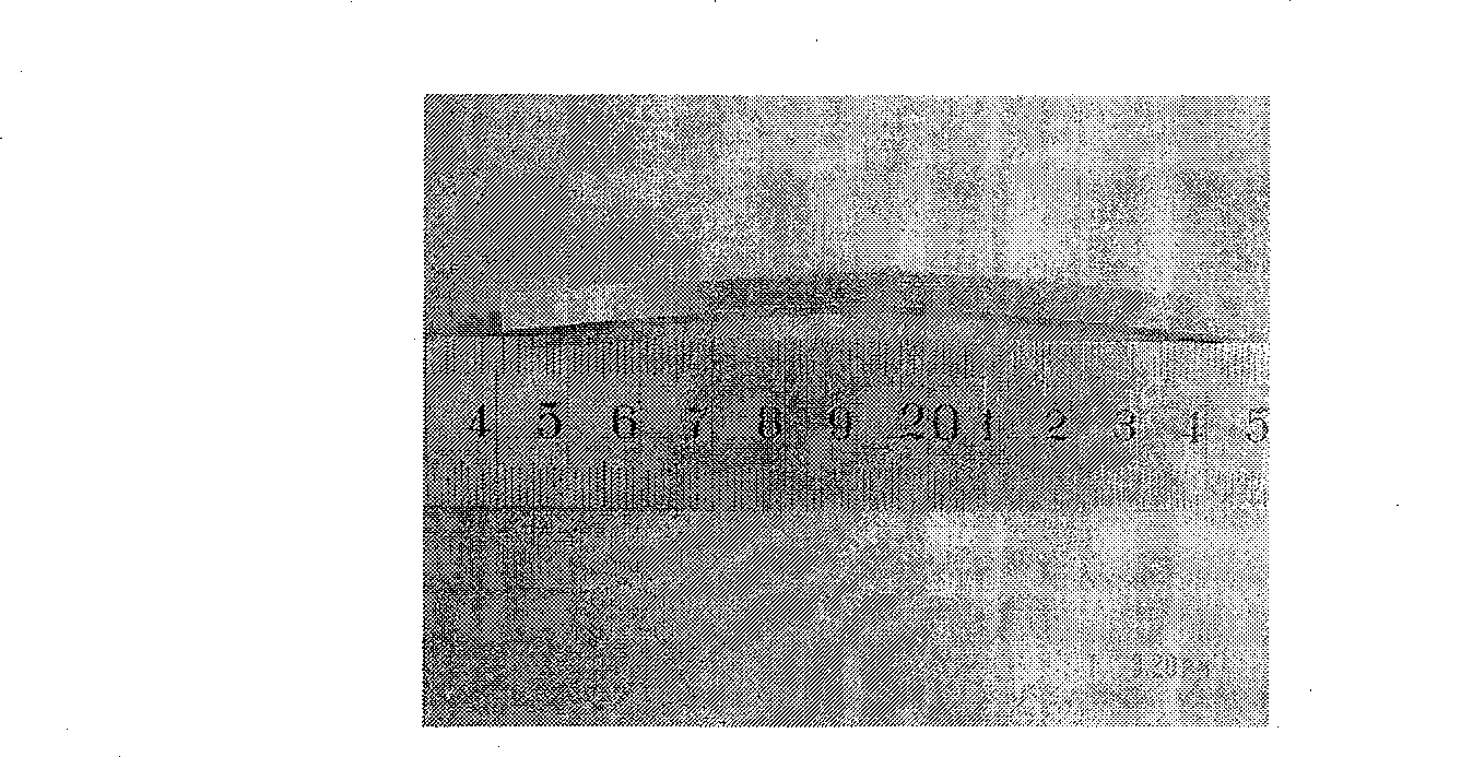 Low-alloy super-strength steel and heat treatment technique for the same