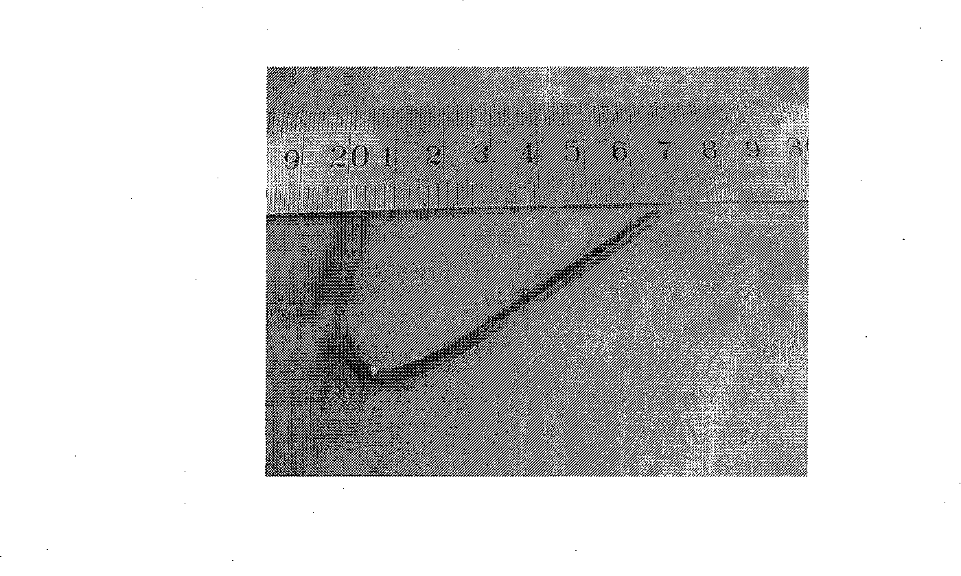 Low-alloy super-strength steel and heat treatment technique for the same