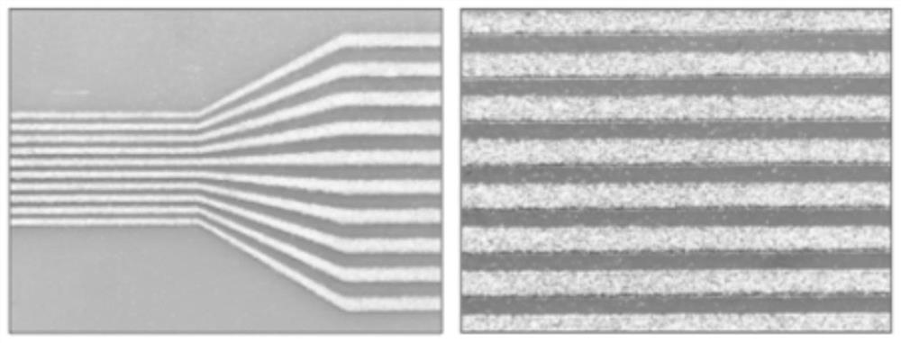 A kind of preparation method of flexible array microelectrode