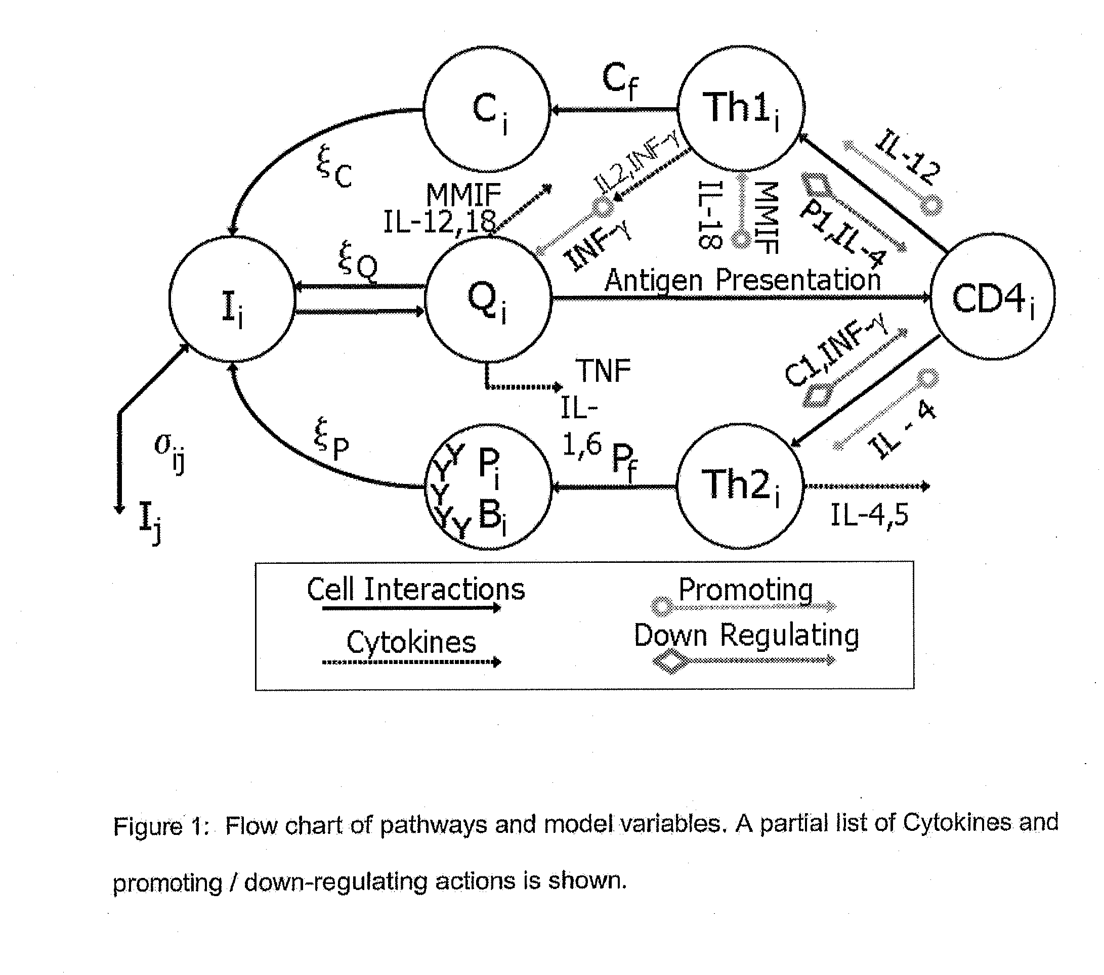 Method of modeling for drug design, evaluation and prescription in the treatment of disease