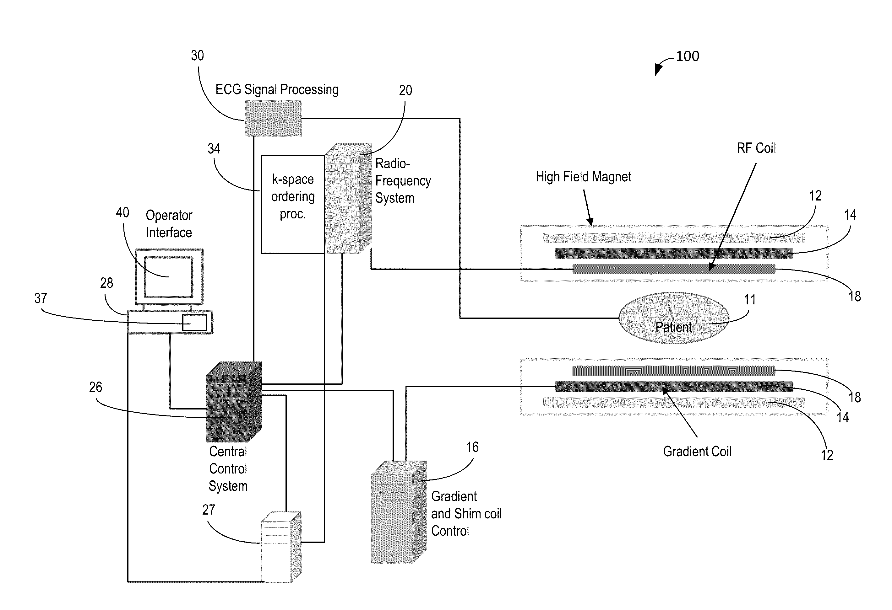 Methods and Systems for Automatically Determining Magnetic Field Inversion Time of a Tissue Species