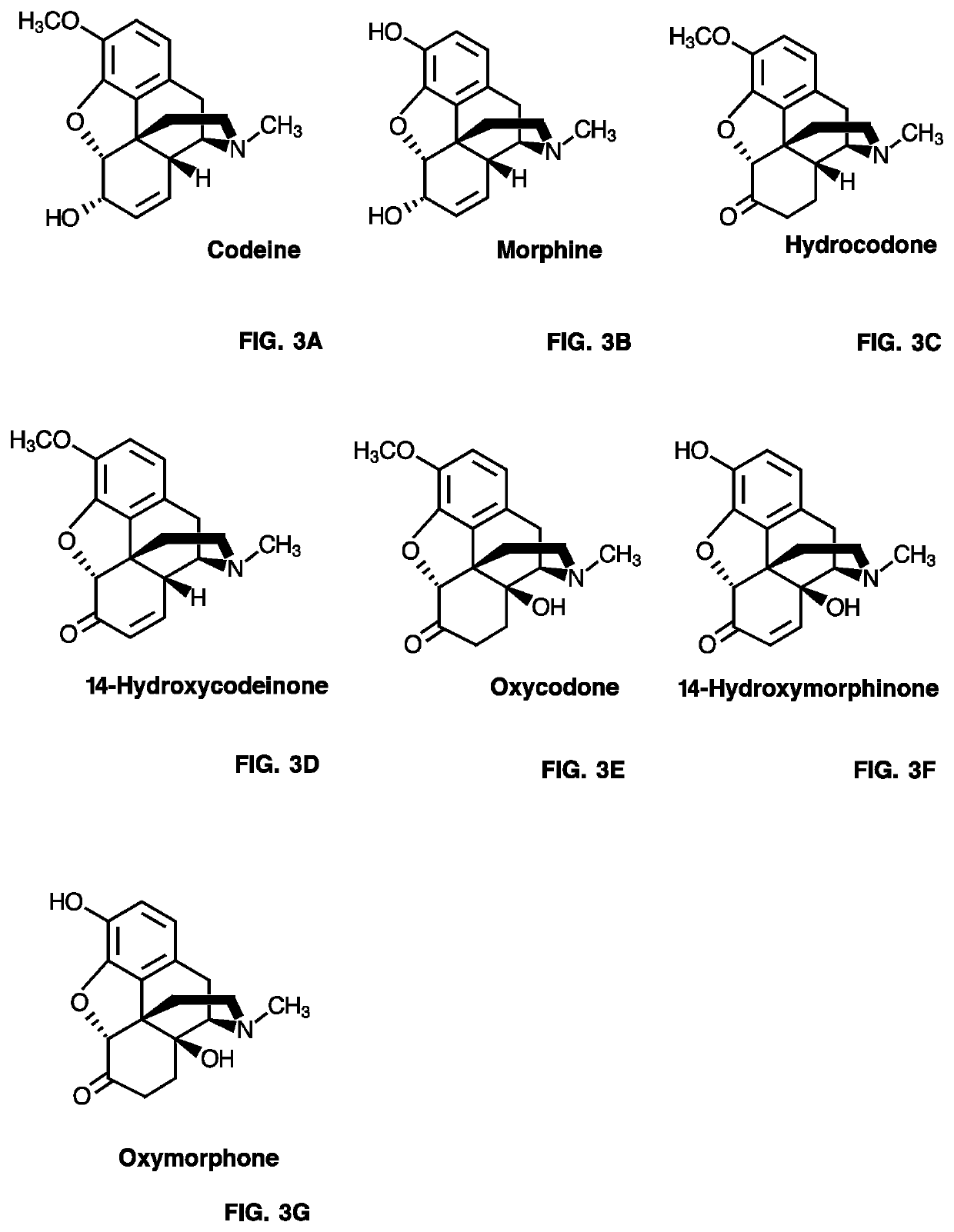 Neopinone isomerase and methods of using