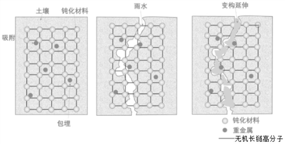 Heavy metal contaminated soil remediation material, preparation method thereof and heavy metal contaminated soil remediation method