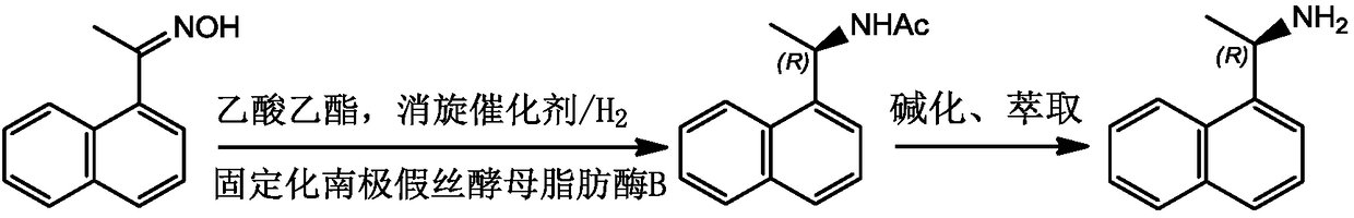 Enzymatic resolution method for preparation of (R)-1-(1-naphthyl) ethylamine