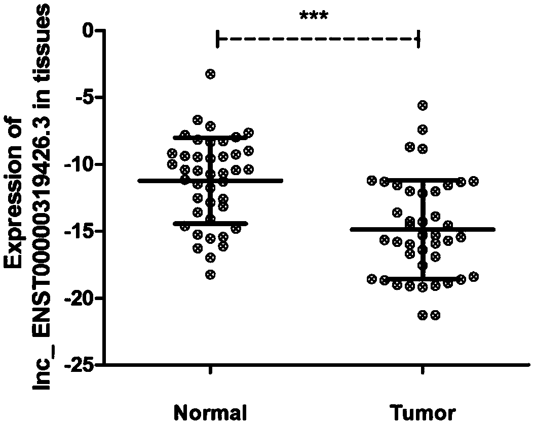 Application of detection of lnc_ENST00000319426.3 in blood in diagnosing gastric cancer staging