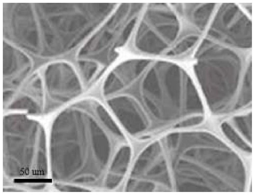 A kind of composite negative electrode material, negative electrode, lithium ion battery and preparation method