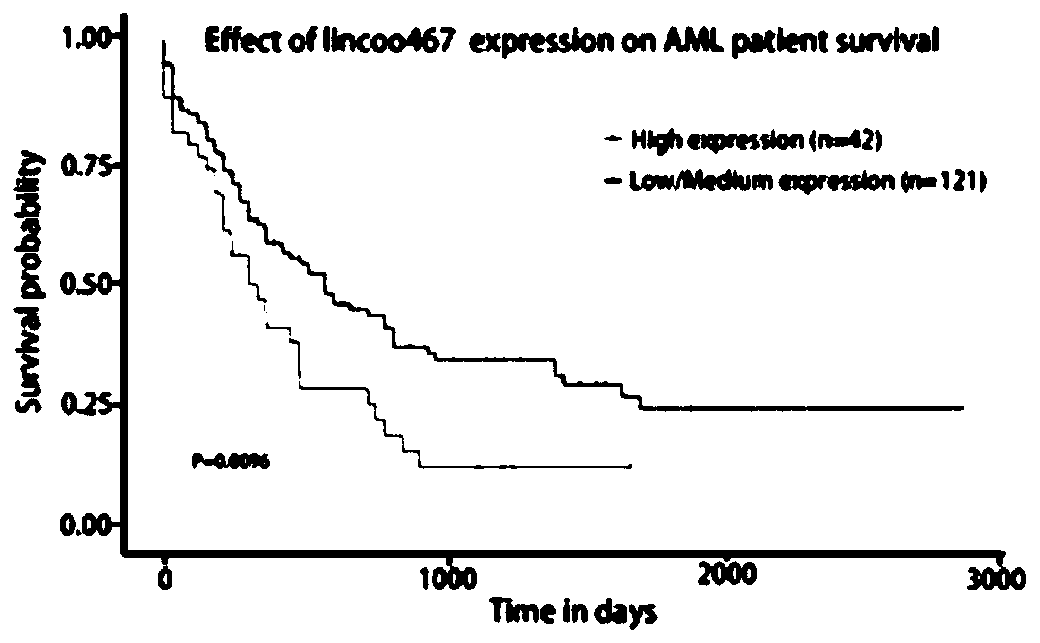 Application of linc00467 gene-targeted siRNA to leukemia medicine resistance