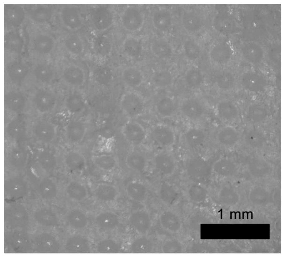 A method for preparing porous polymer microneedles and its application