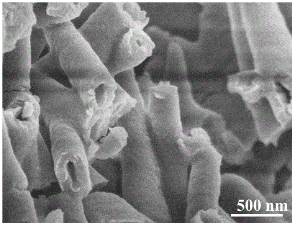 Preparation method of graphite type carbon nitride nanotubes