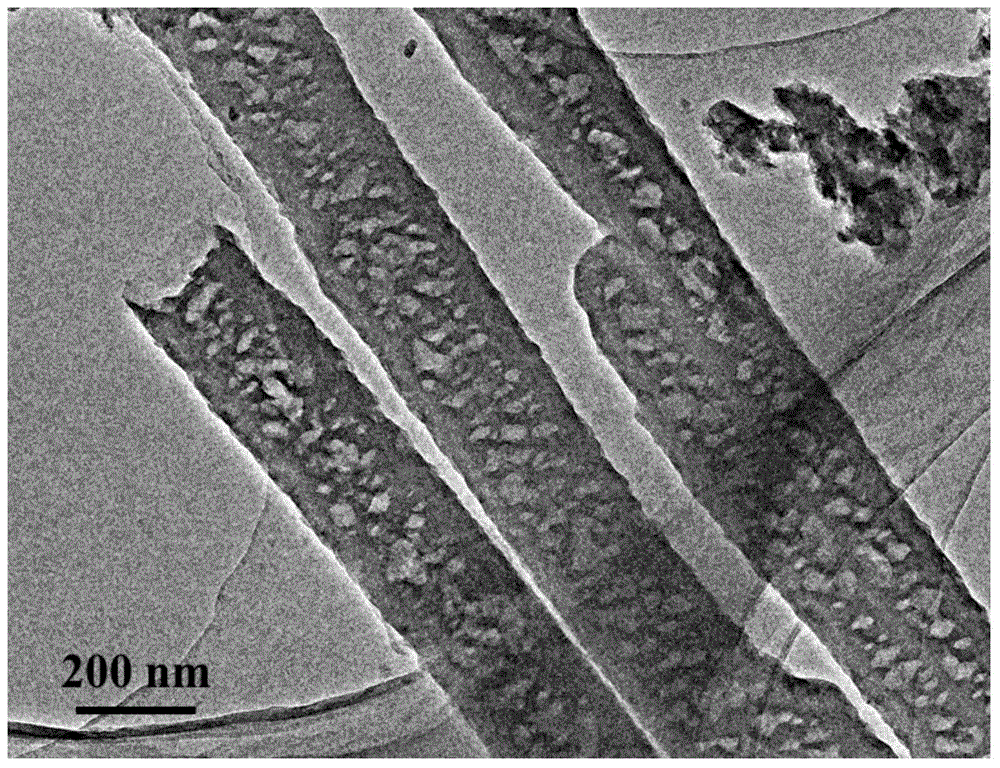 Preparation method of graphite type carbon nitride nanotubes