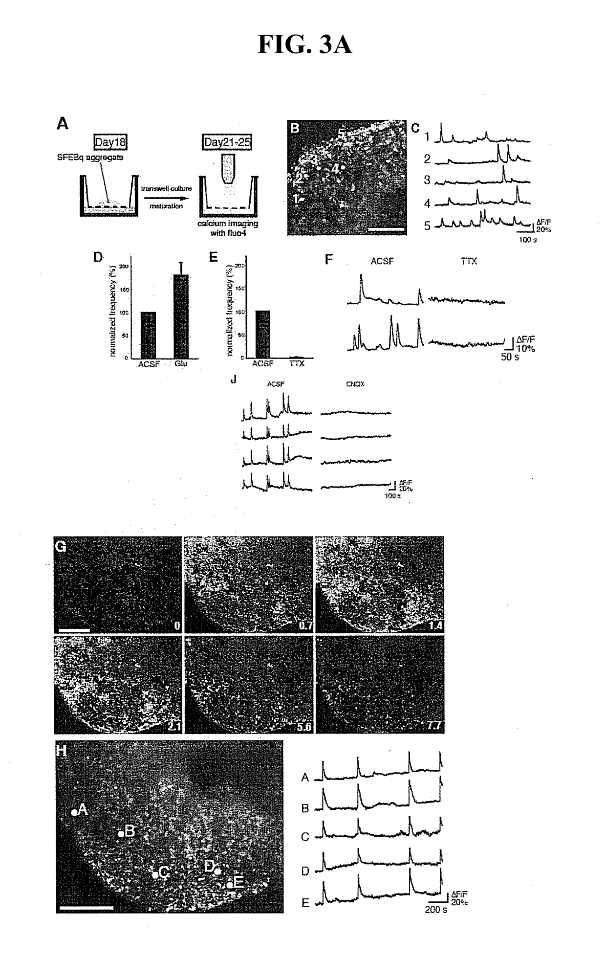 Method for culture of stem cell