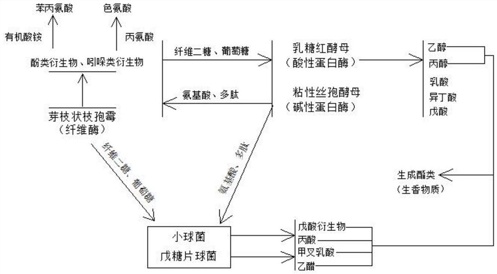 Complex microbial inoculant for fermenting straw feed, fermented feed and preparation method