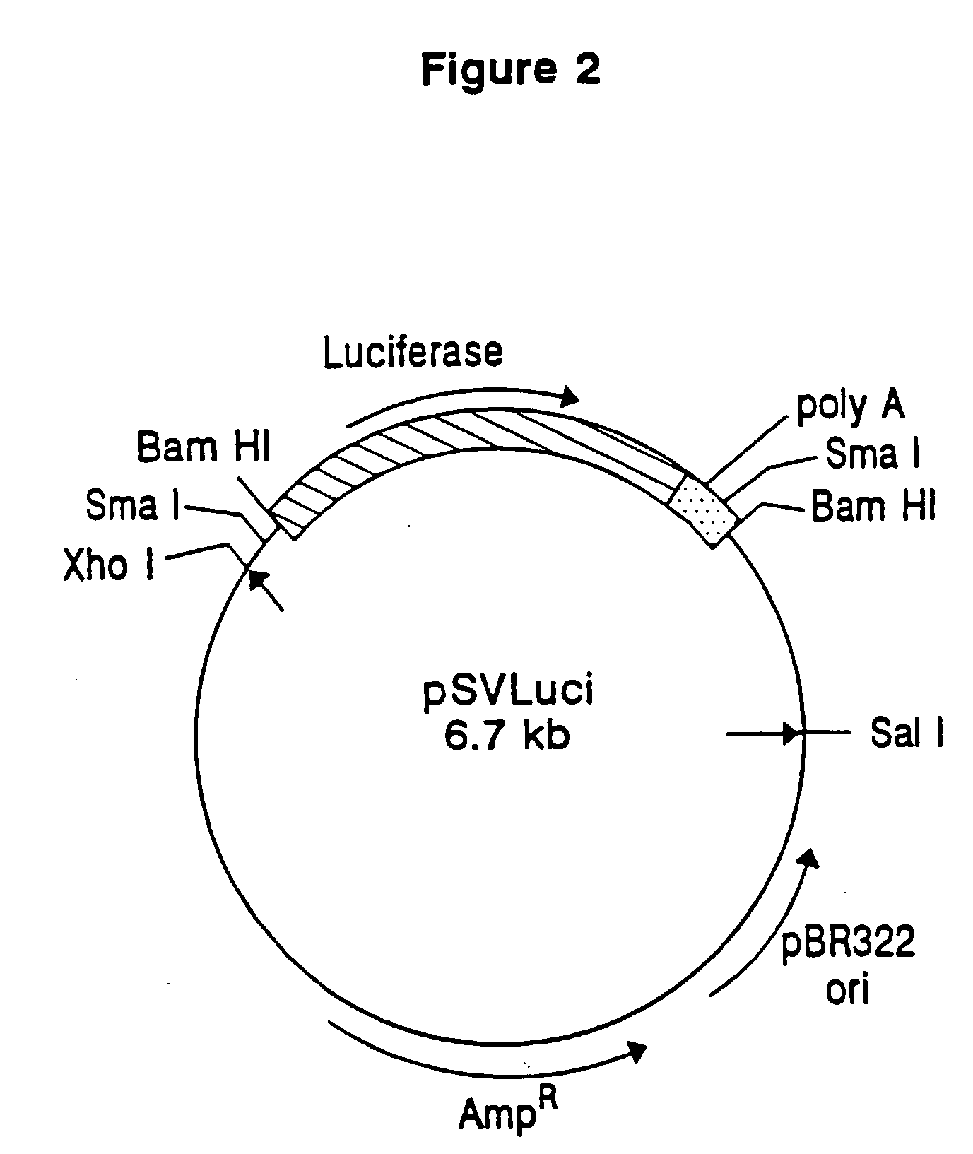 Methods of discovering chemicals capable of functioning as gene expression modulators