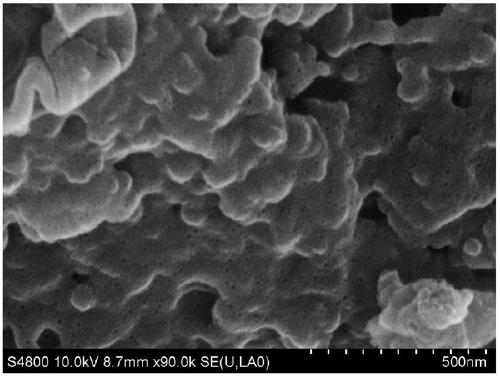 A preparation method of biomass-based nitrogen-containing porous carbon, porous carbon and its application