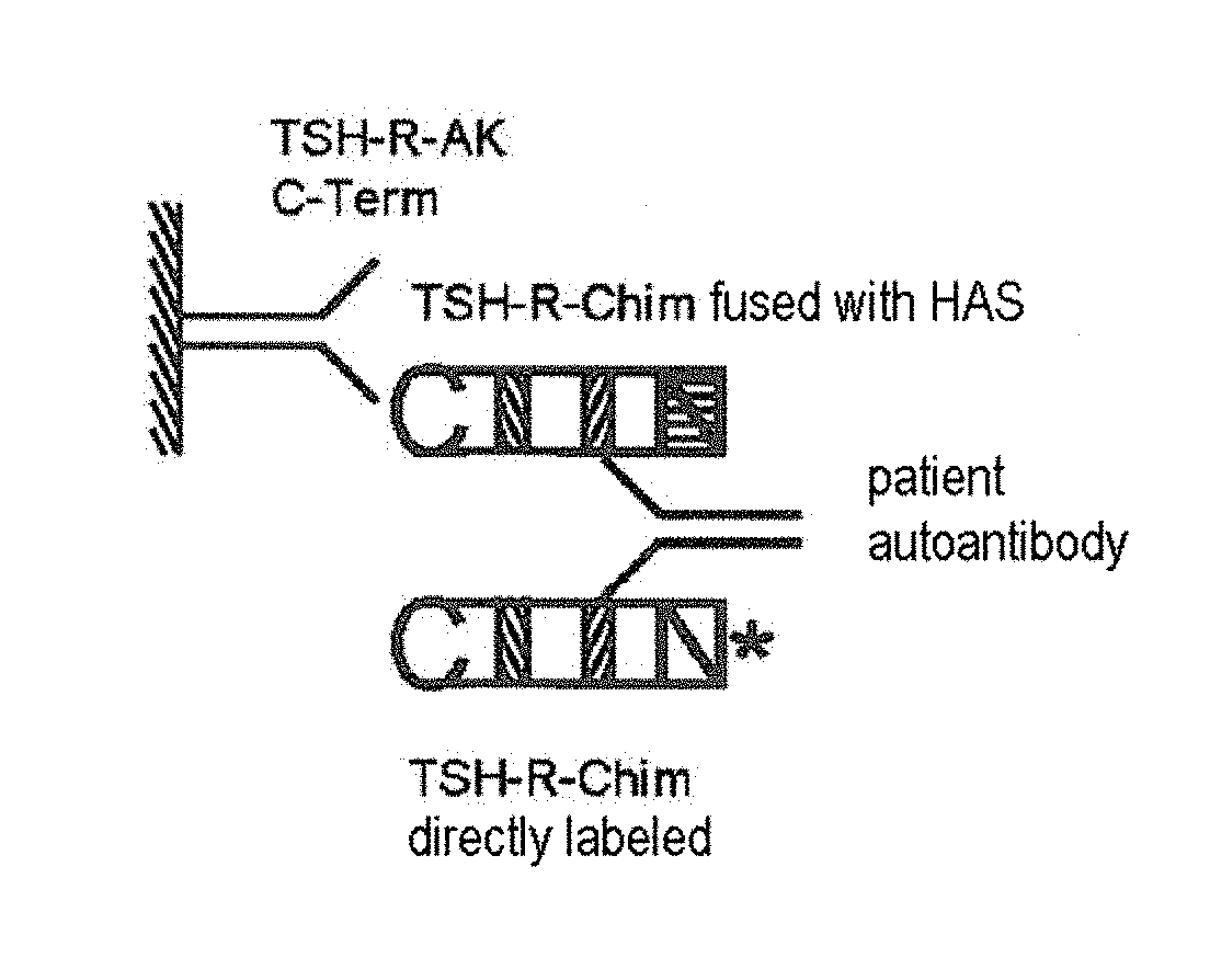Detection of autoantibodies against the tsh receptor
