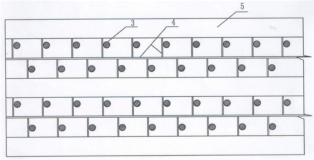 A kind of afforestation method of Haloxylon-free irrigation vegetation on heavy clay soil in arid area