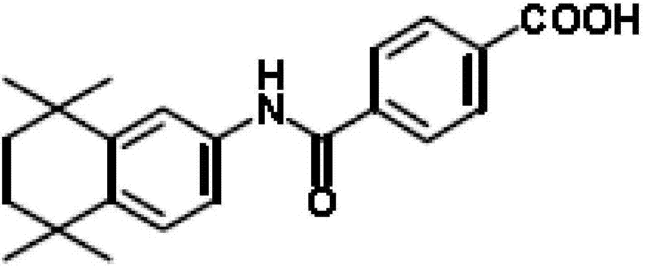 Orally taken tamibarotene solid preparation, preparation method and application thereof