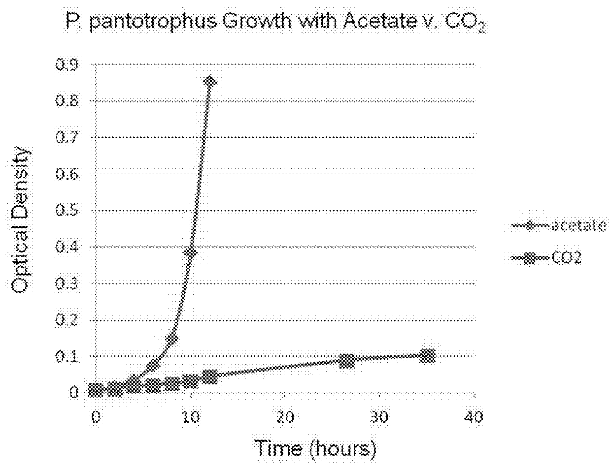 Conversion of Carbon Dioxide Utilizing Chemoautotrophic Microorganisms Systems and Methods