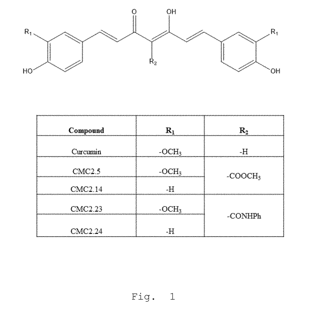 Inhibition of melanogenesis by chemically modified curcumins