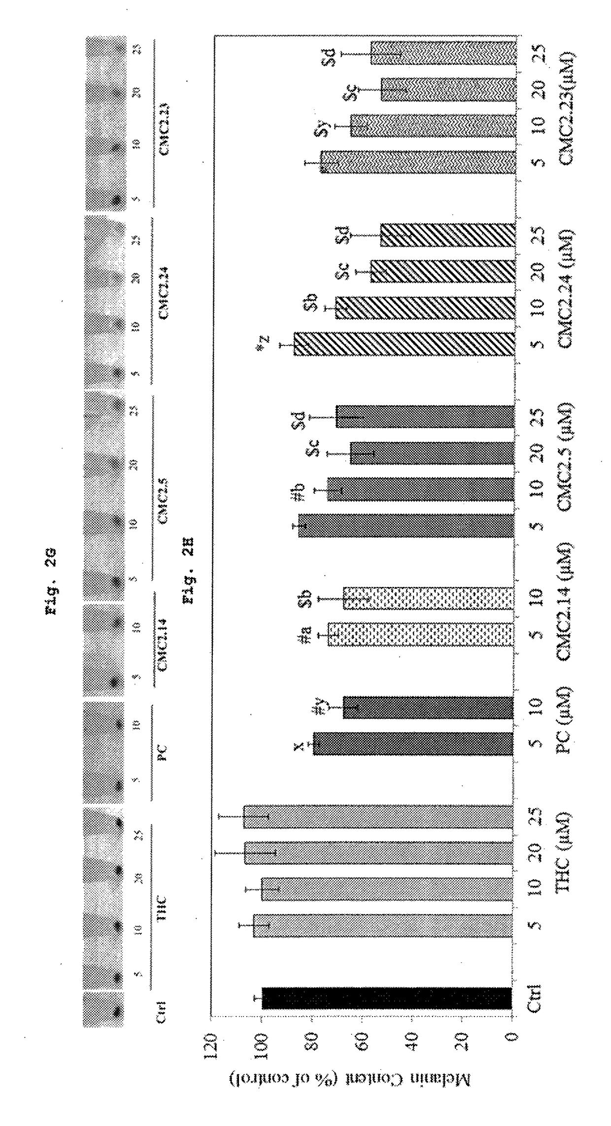 Inhibition of melanogenesis by chemically modified curcumins