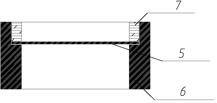 Anti-scale device