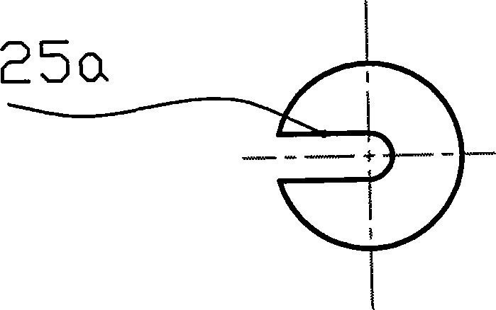 Electric oil injector