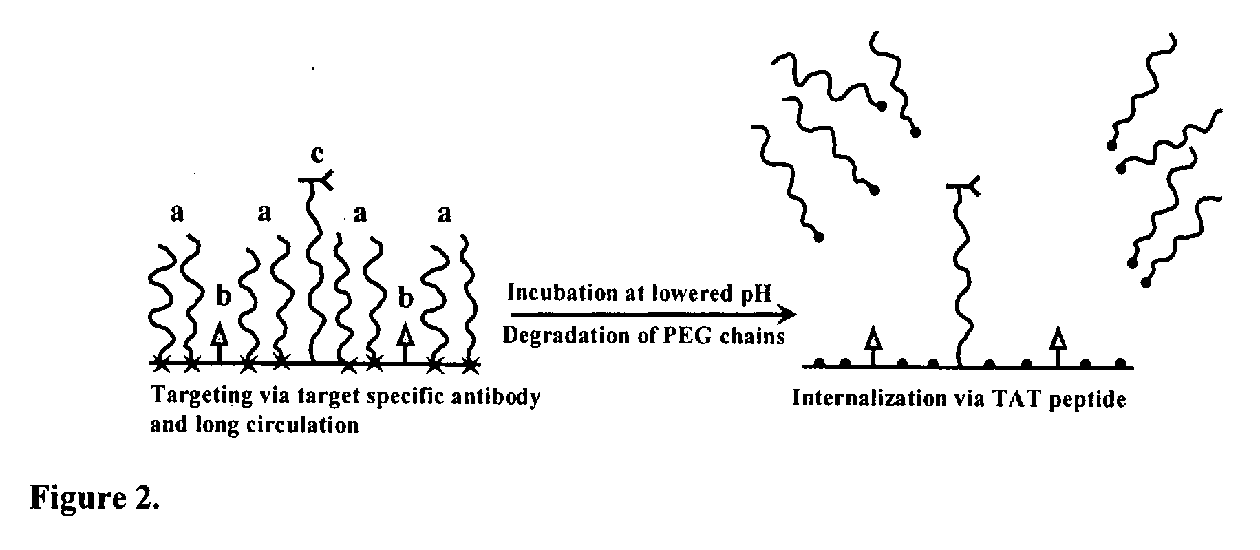 Condition-dependent, multiple target delivery system