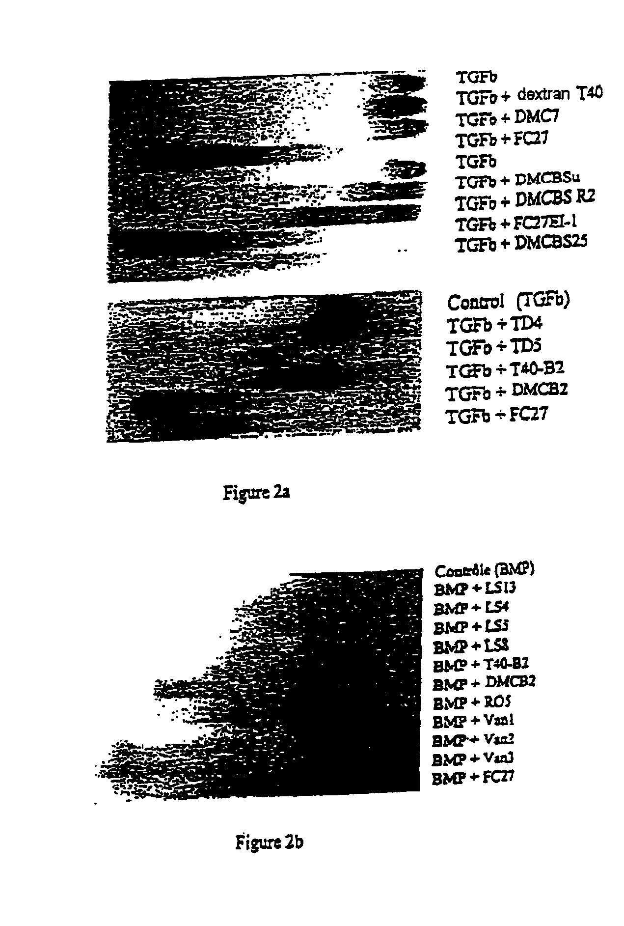 Biomaterial based on an insolubilized dextran derivative and a growth factor