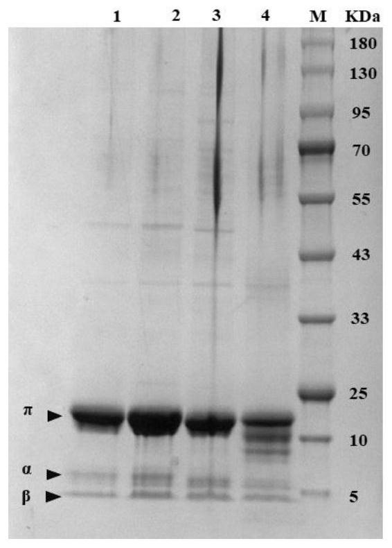 A kind of l-aspartic acid-alpha-decarboxylase mutant and its application