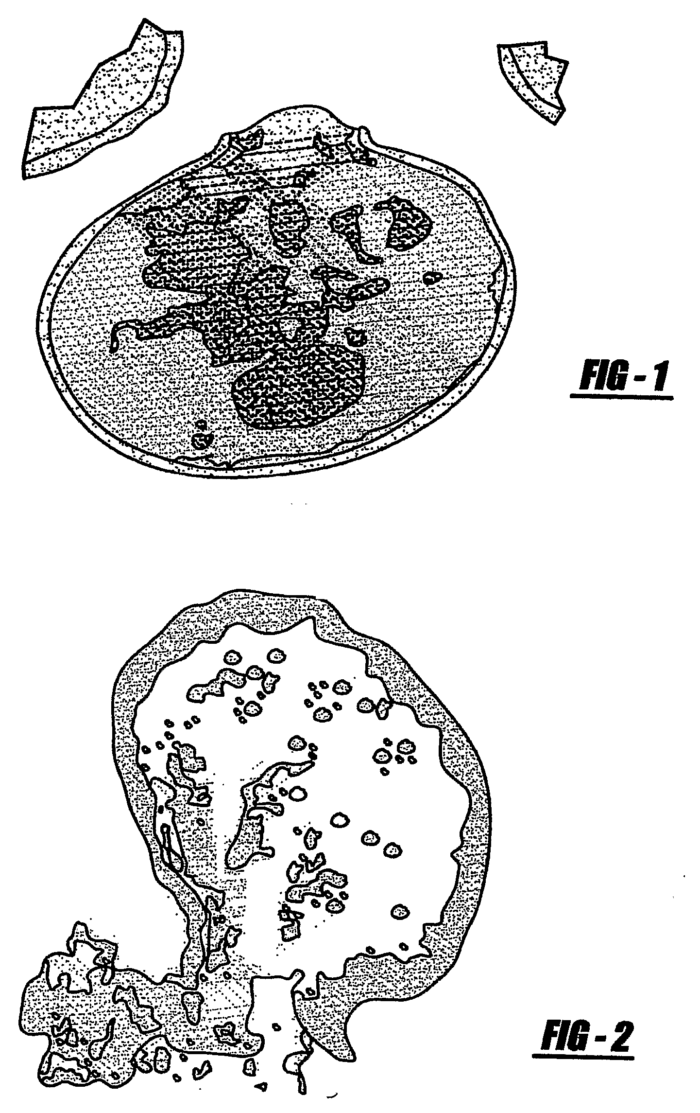 Device and method for treating biomass