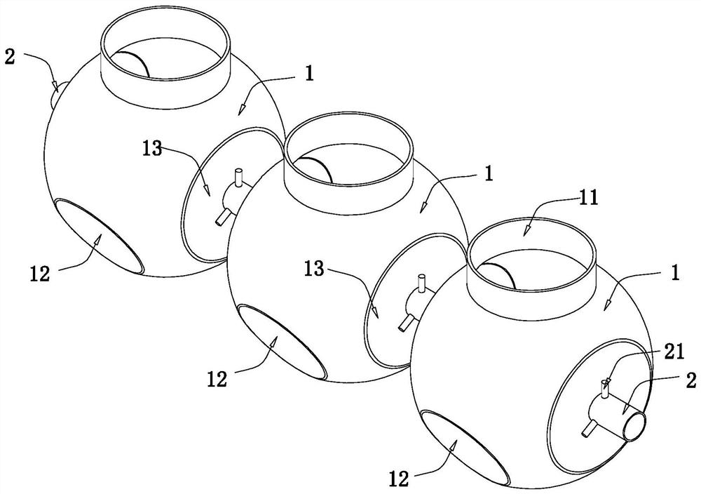 Breeding bottle and operation method of Drosophila pupal parasitoid that is easy to operate