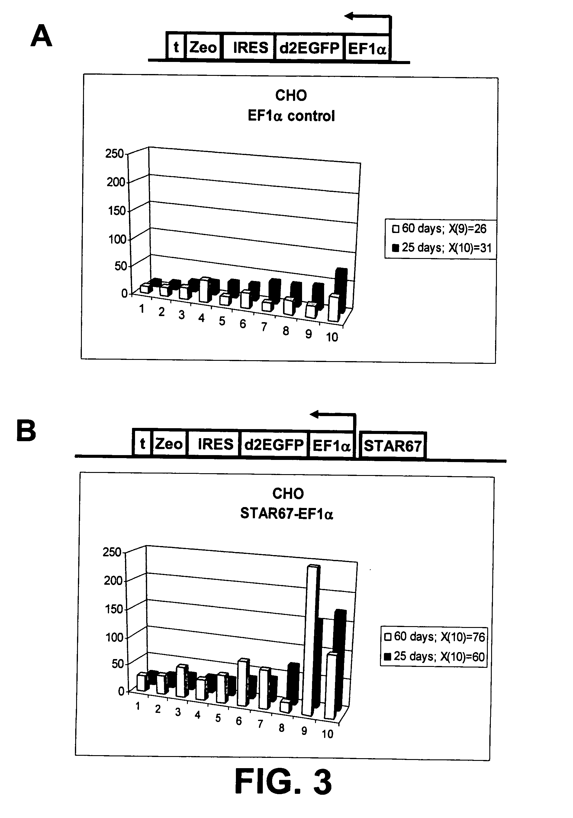 Selection of host cells expressing protein at high levels
