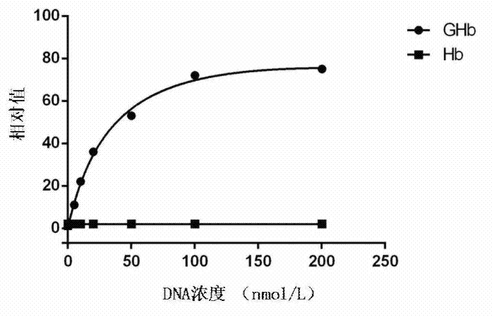 Aptamer of glycosylated hemoglobin and preparation method thereof