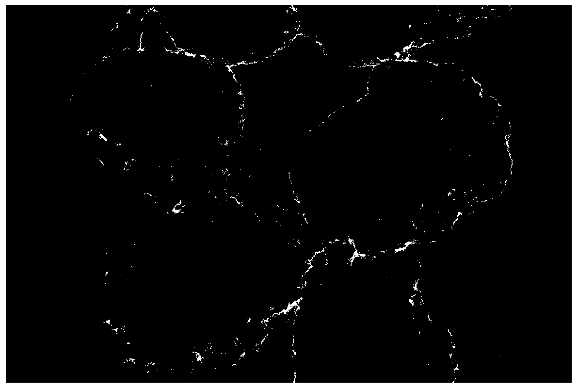 Preparation method of boron and nitrogen co-doped nonmetal carbon-based oxygen reduction electrocatalyst based on ZIF-8