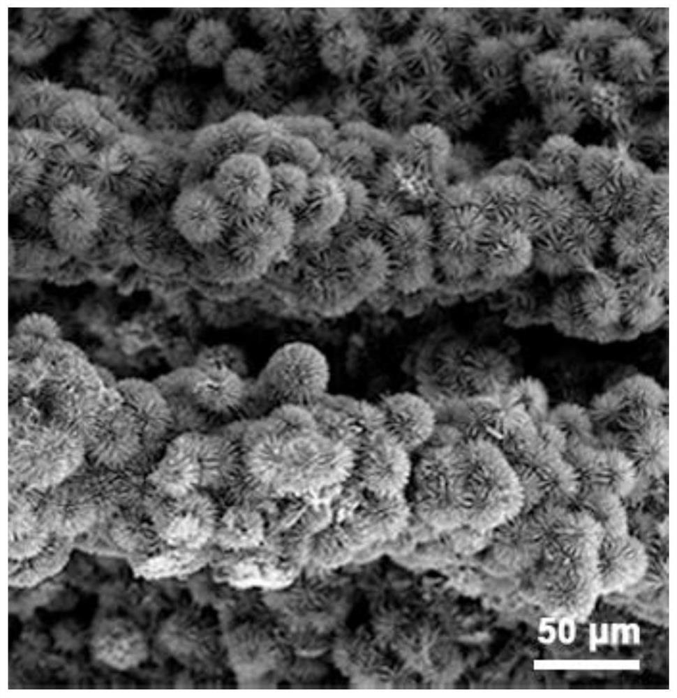 Preparation method of chromium-doped cobalt phosphide nanorod array growing on carbon cloth in situ