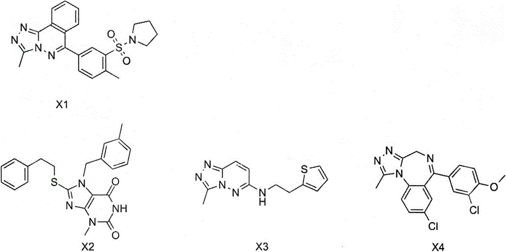 Screening model suitable for BRD4 protein inhibitors