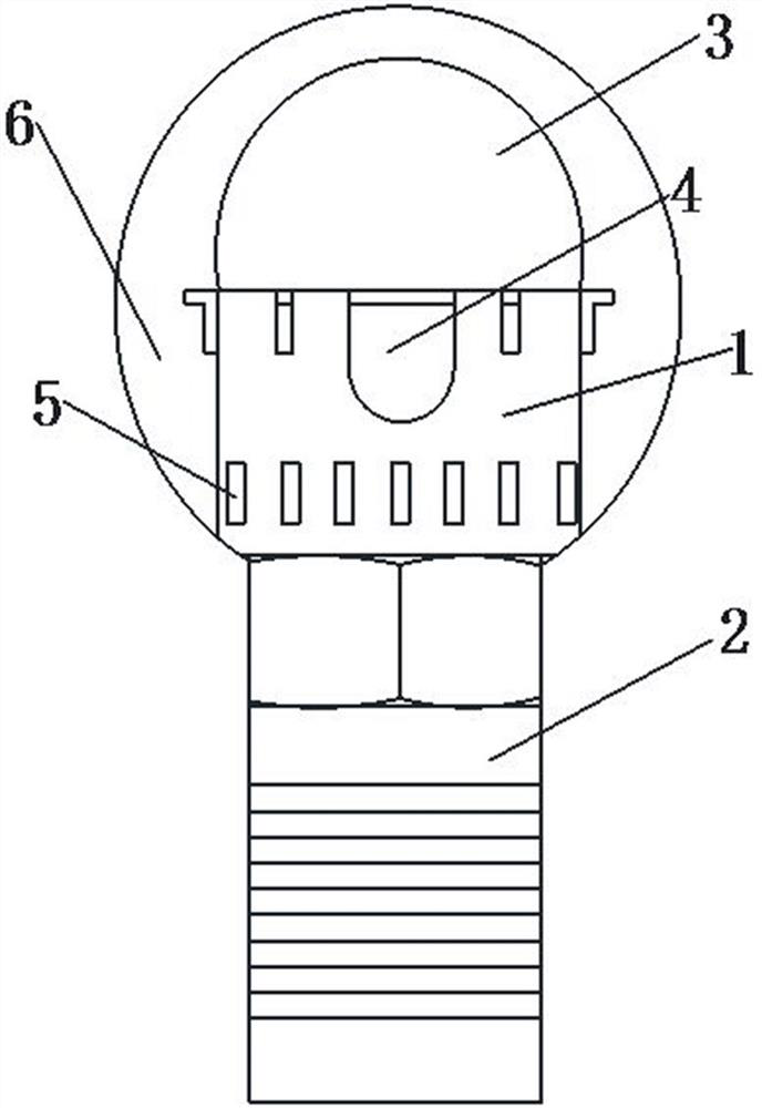 Round head square neck bolt