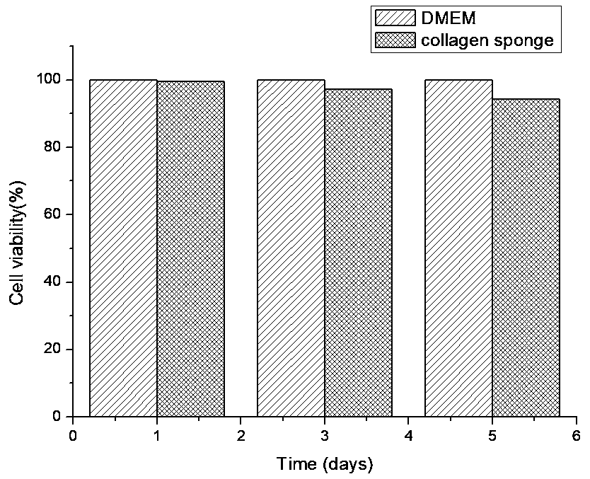 Collagen sponge and preparation method thereof