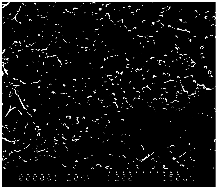 Collagen sponge and preparation method thereof